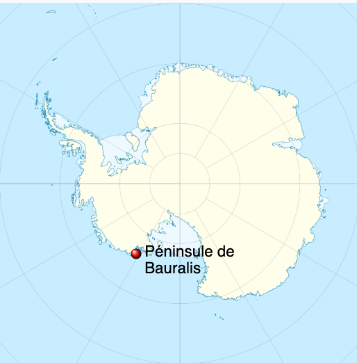 bauralis-antartica_map.png